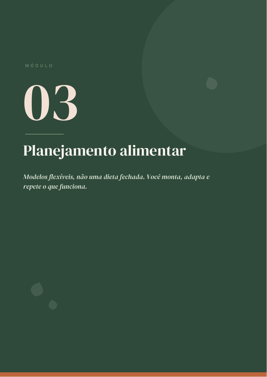 Página interna do e-book Projeto 30 Dias